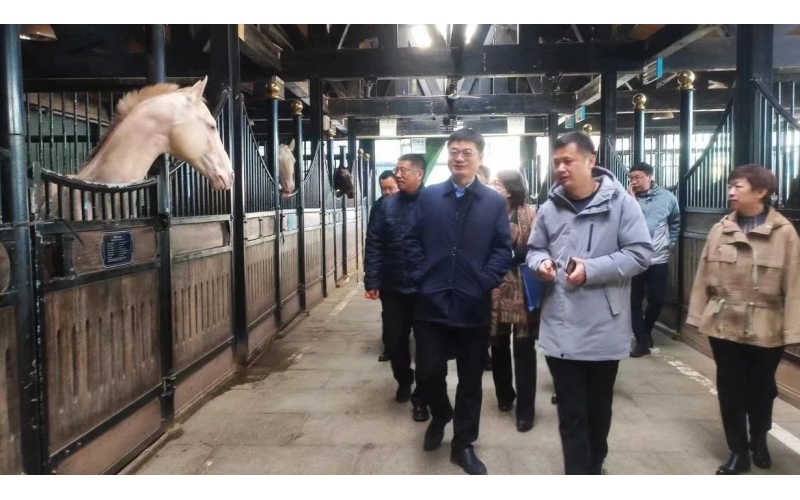 高雷副廳長在野馬集團調(diào)研時表示，要通過科技助力，精準解決“卡脖子”問題