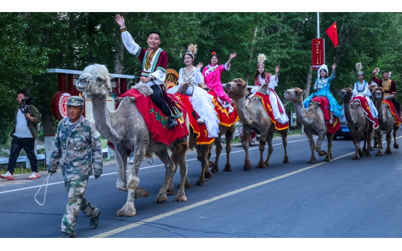 北屯市185團巡游